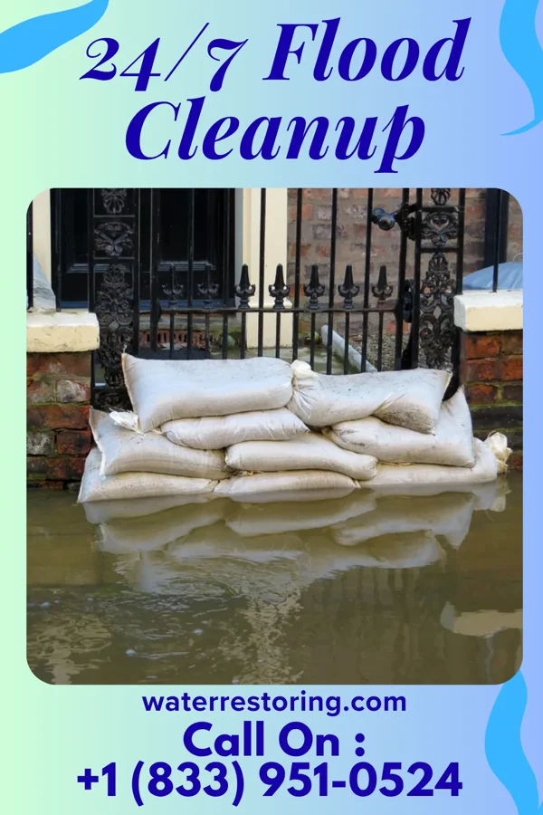 24/7 Flood Cleanup in Selfridge, ND