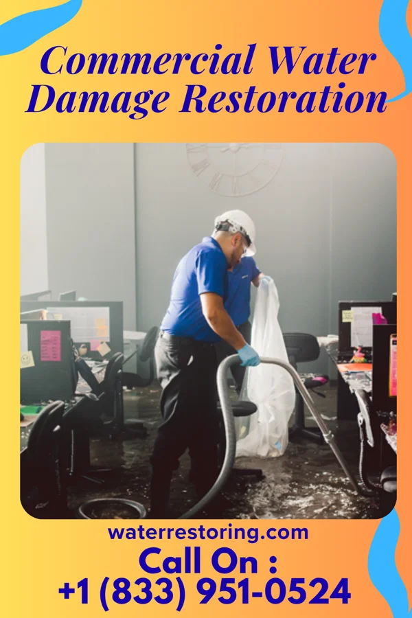 Commercial Water Damage Restoration in Selfridge, ND