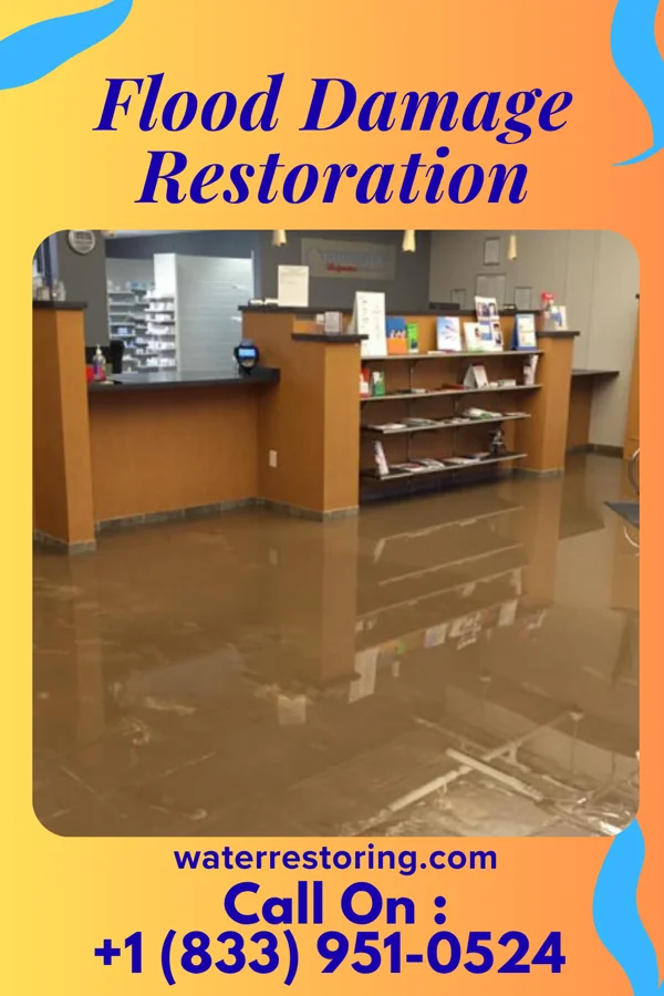 Flood Damage Restoration in Selfridge, ND