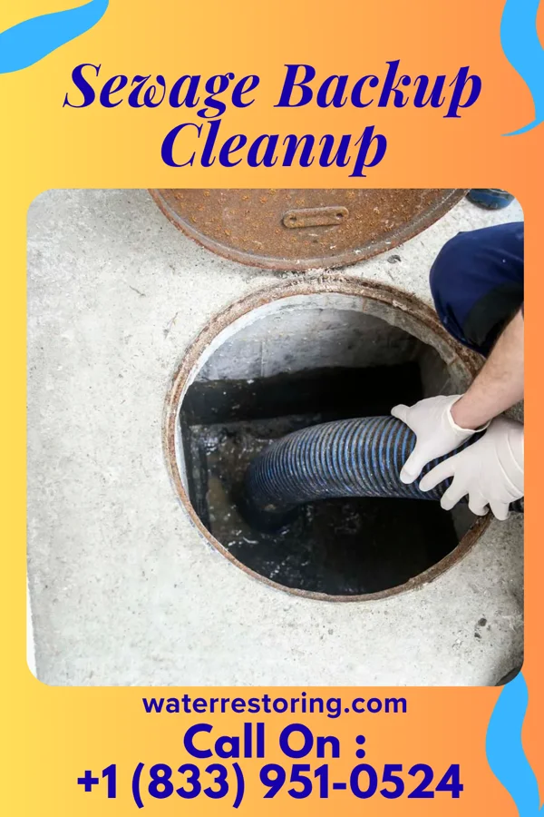 Sewage Backup Cleanup in Selfridge, ND