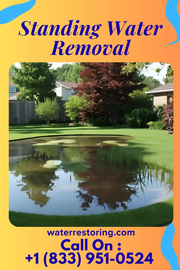 Standing Water Removal in Selfridge, ND